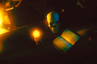 Skull and Book