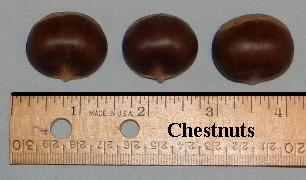 Chestnuts