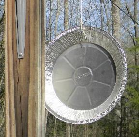 Aluminum Pie Plate