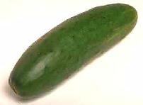 Cucumber