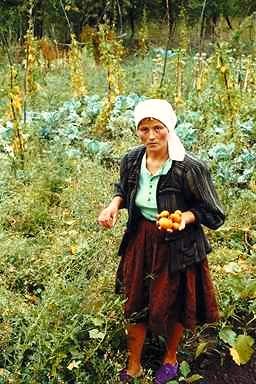 A Lady in her Garden