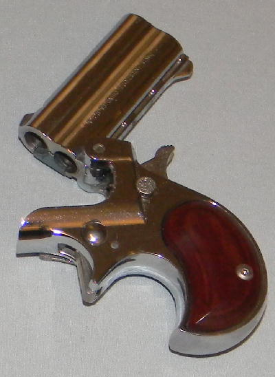 Double Barrel Derringer